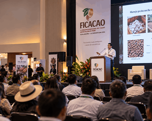 Conferencias técnicas sobre cacao