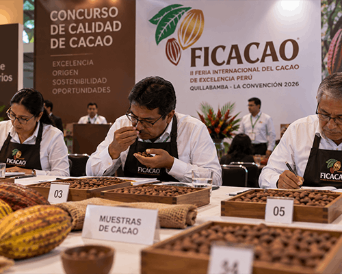 Concurso de calidad de cacao